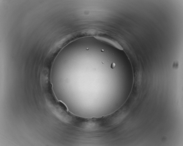 X0000112210356200908141503