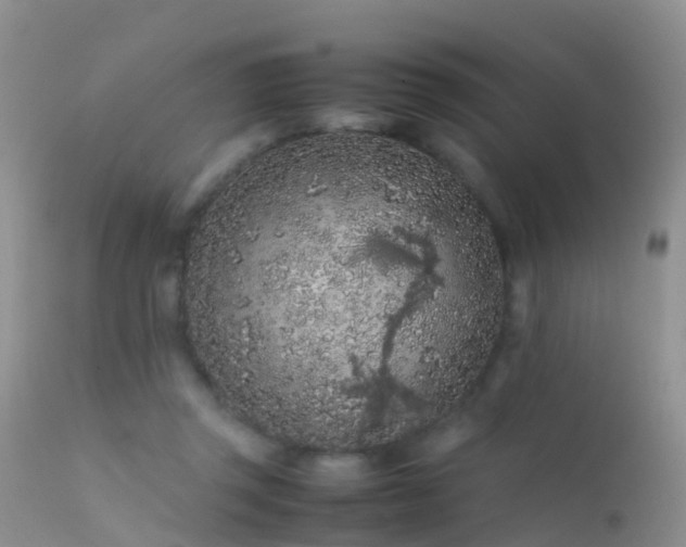 X0000112210357200908141503