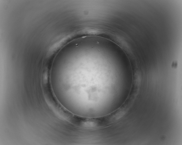 X0000112210358200908141503