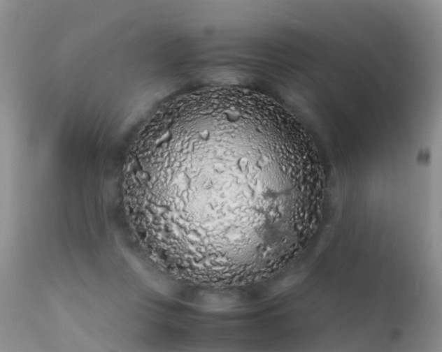 X0000112210359200908141503