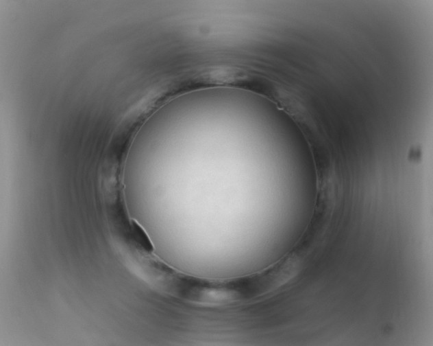 X0000112210360200908141503