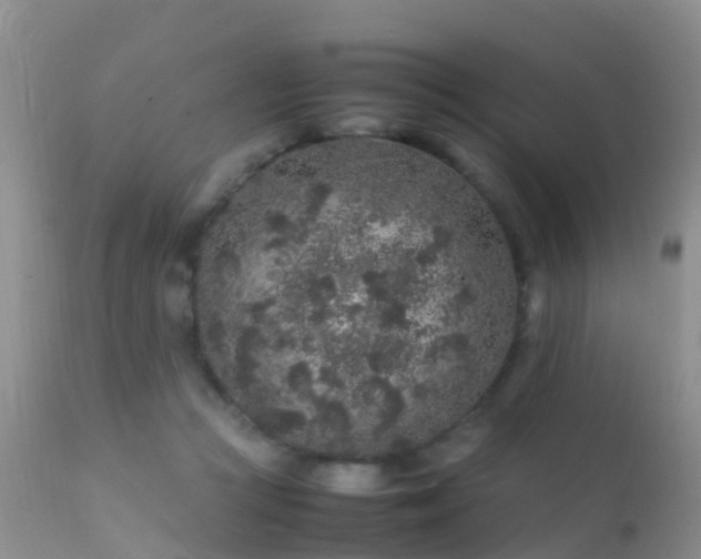 X0000112210361200908141503