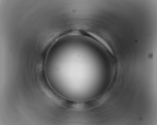 X0000112210362200908141503