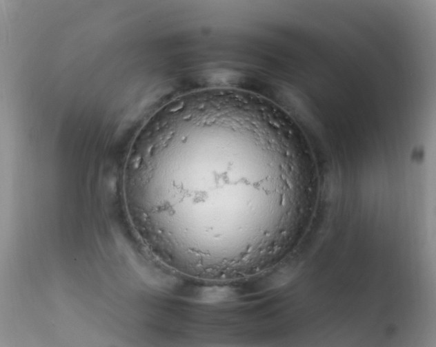 X0000112210363200908141503