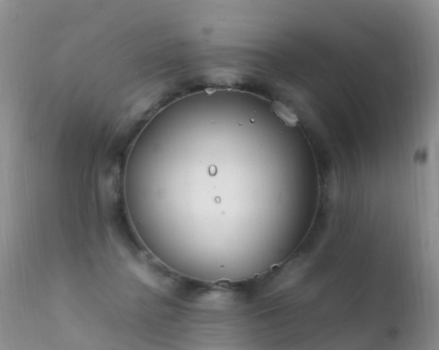 X0000112210364200908141503