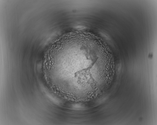 X0000112210365200908141503