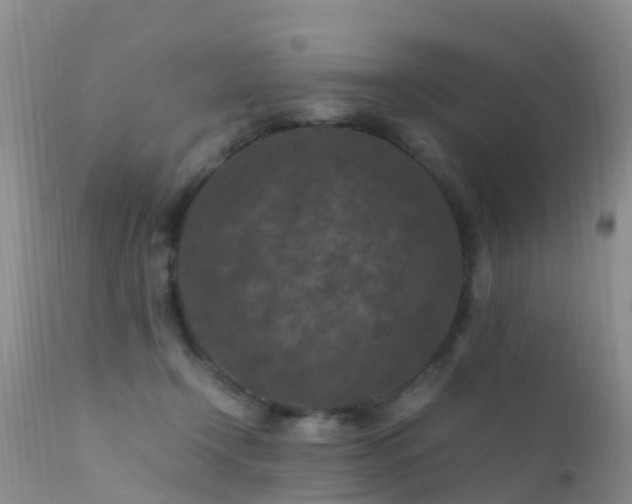 X0000112210366200908141503