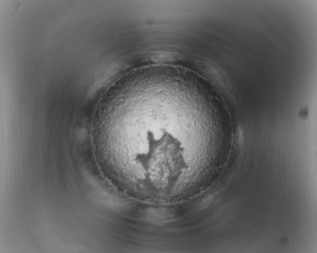 X0000112210367200908141503