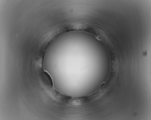 X0000112210368200908141503