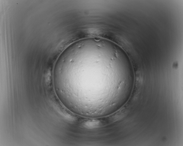 X0000112210369200908141503