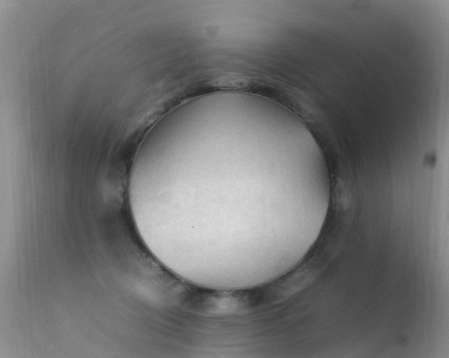 X0000112210370200908141503