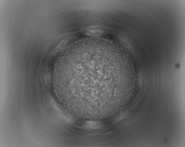 X0000112210371200908141503