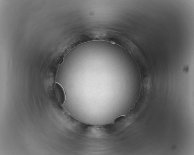 X0000112210372200908141503