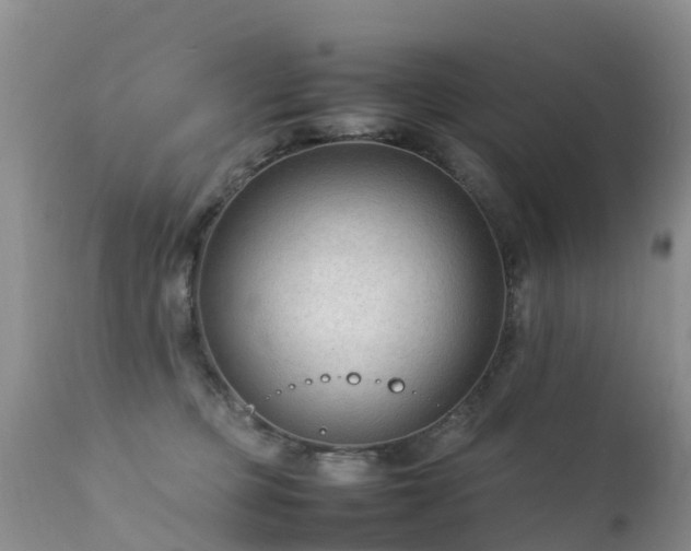 X0000112210373200908141503