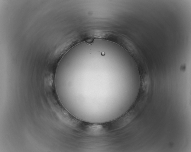 X0000112210374200908141503