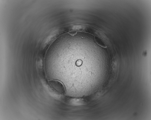 X0000112210375200908141503