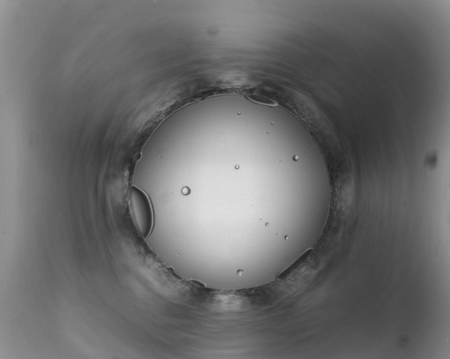 X0000112210376200908141503