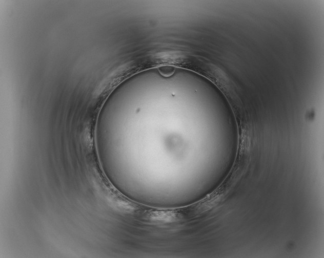 X0000112210377200908141503