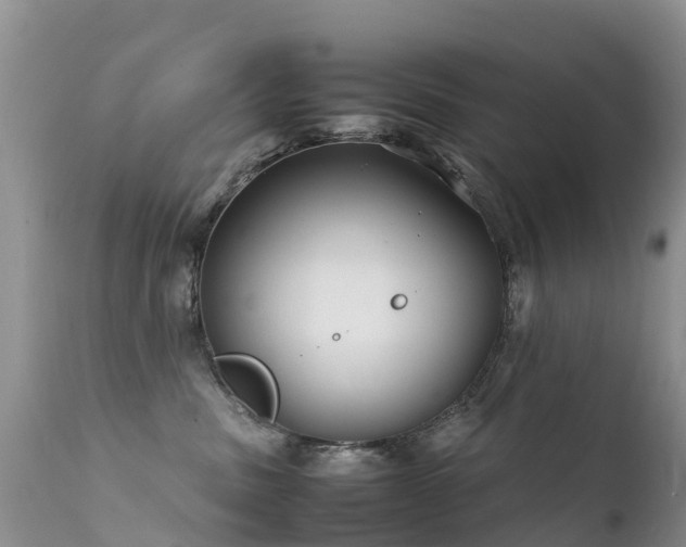 X0000112210379200908141504