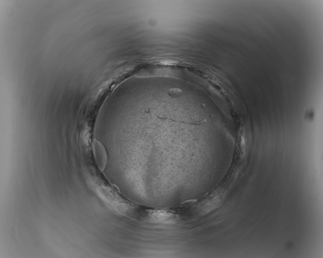 X0000112210380200908141504