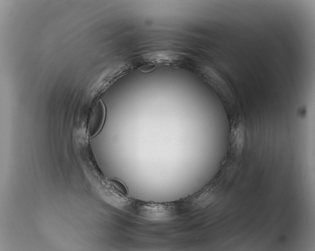 X0000112210381200908141504