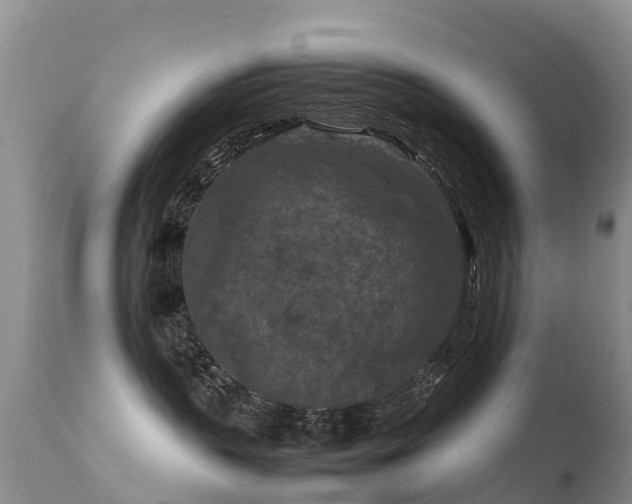 X0000112210383200908141504