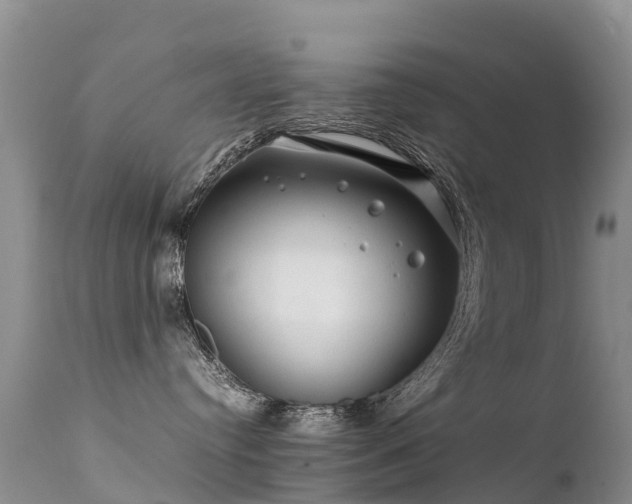 X0000112210384200908141504