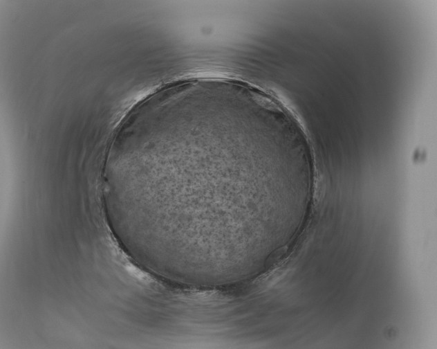 X0000112210385200908141503