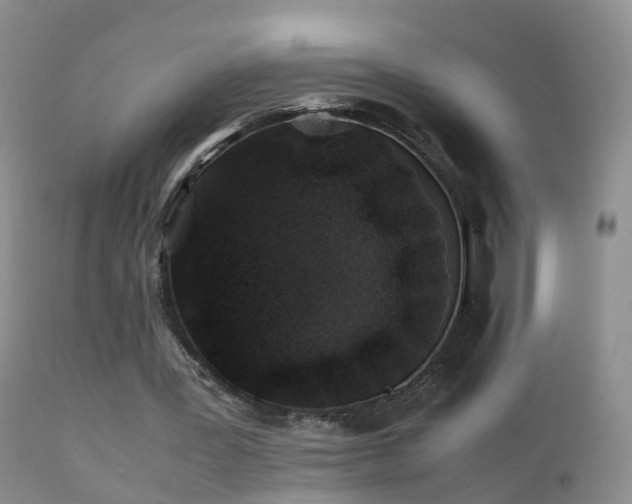 X0000112210387200908141503