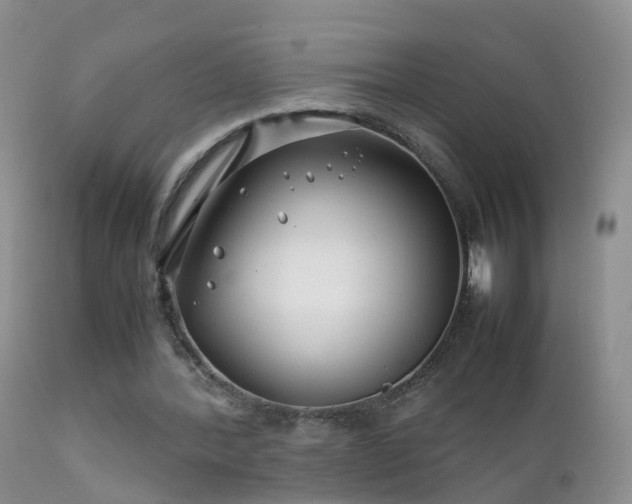 X0000112210388200908141503