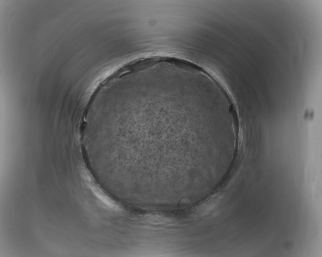 X0000112210389200908141503