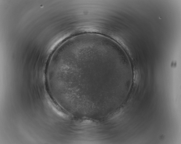 X0000112210390200908141503