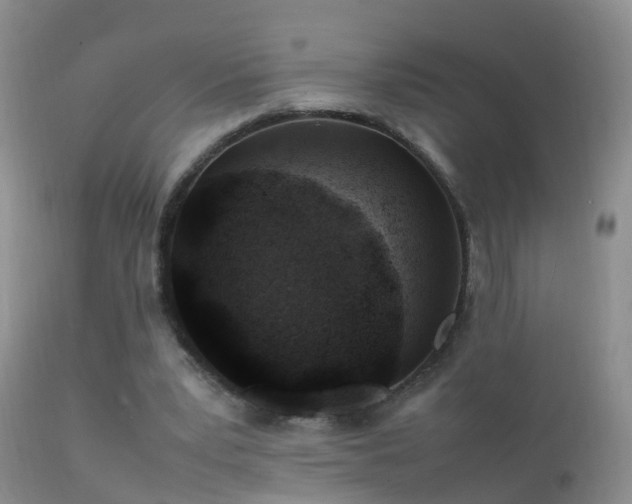 X0000112210391200908141503