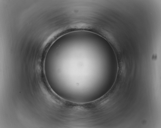 X0000112210392200908141503