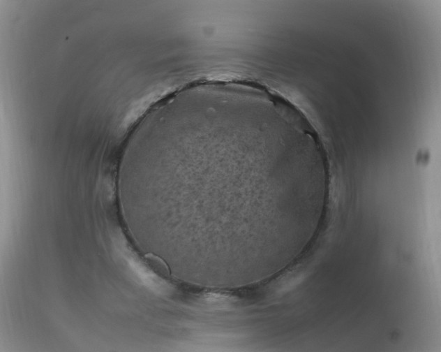 X0000112210393200908141503