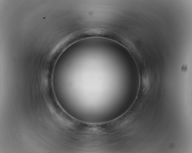 X0000112210396200908141503