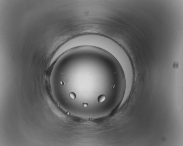 X0000112210397200908141503