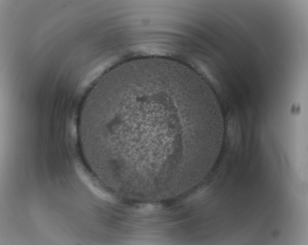 X0000112210398200908141503