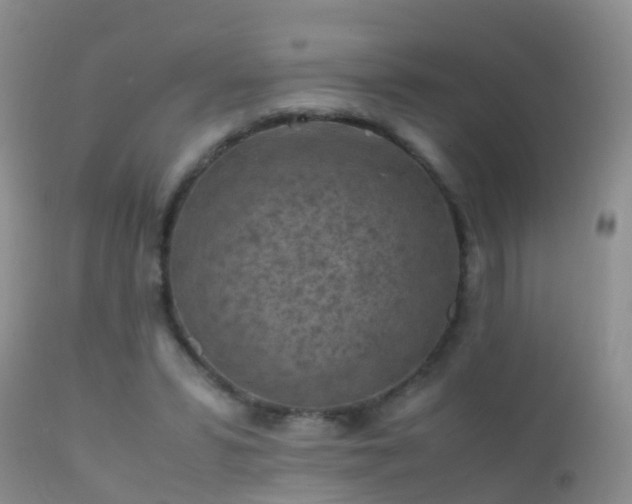 X0000112210399200908141503