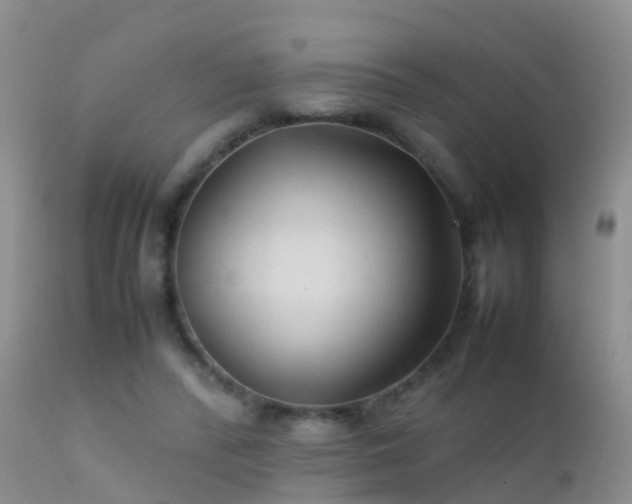 X0000112210400200908141503