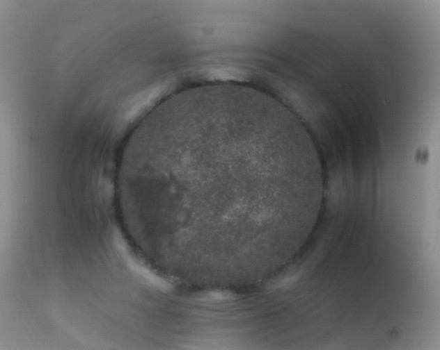 X0000112210402200908141503