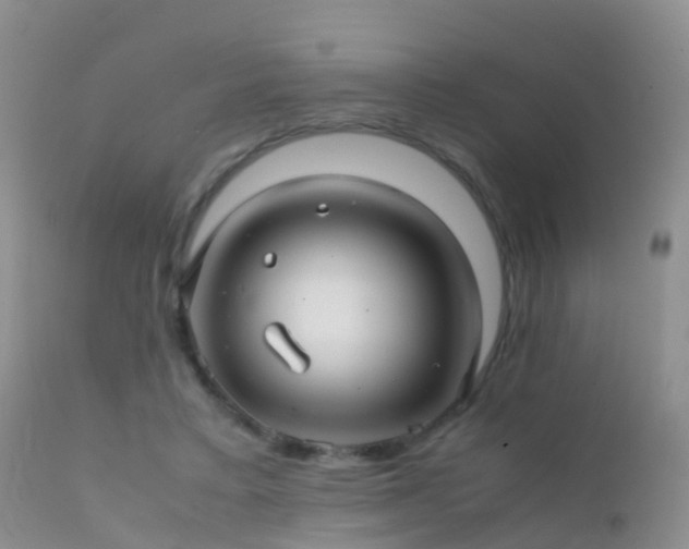 X0000112210403200908141503