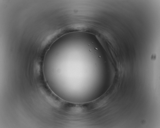 X0000112210404200908141502