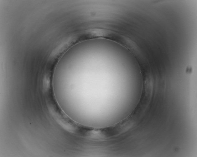 X0000112210406200908141502