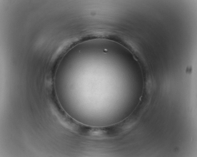 X0000112210407200908141502