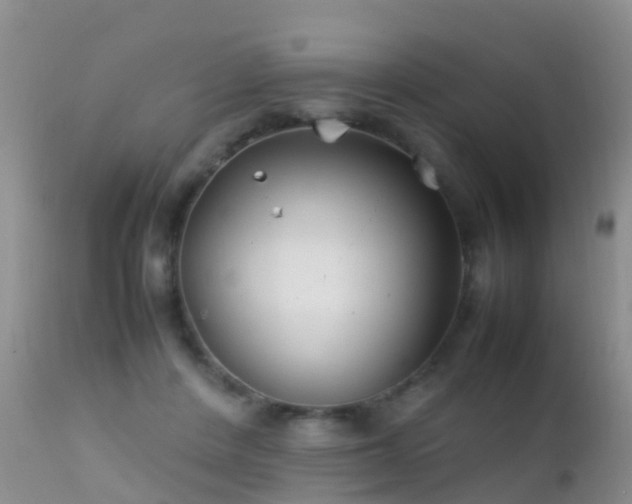 X0000112210408200908141502