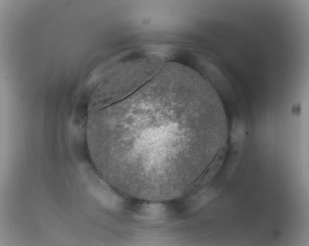 X0000112210409200908141502