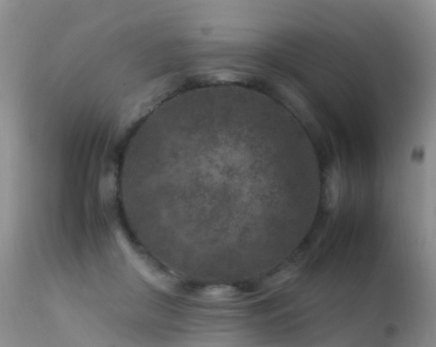 X0000112210410200908141502