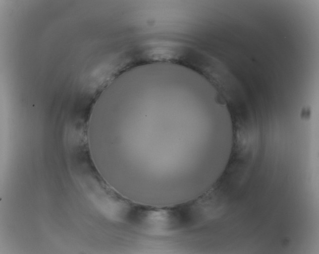 X0000112210411200908141502