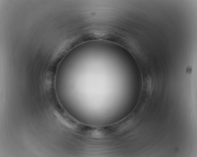 X0000112210412200908141502